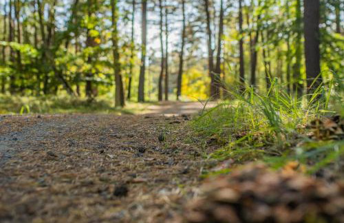 Brzozowa Chatka - Dom nad Jeziorem - Wellness & Ceragem - Foto 29