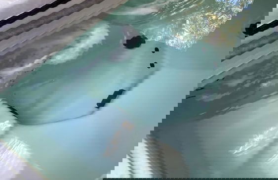 Upstay - Eastside Home w LRG Patio - Rooftop Deck - Foto 38