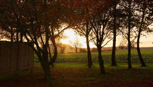 Vallum Cabins - Photo 4, Other