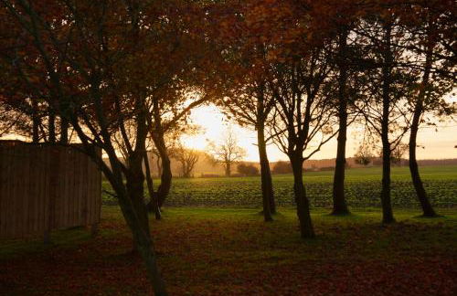 Vallum Cabins - Foto 4