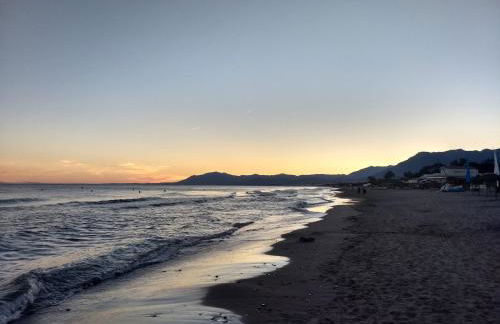 Sapphire Studio - Sea & Nature - Photo 29