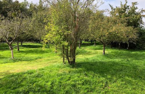 Studio avec piscine aux portes d’Honfleur - Foto 28