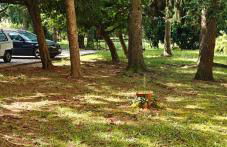 Oasi Verde - Foto 22