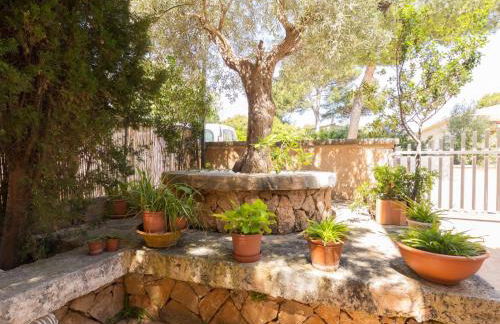 Ca na perla - Foto 21