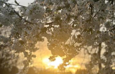 Seeidyll an der Wublitz - Foto 3