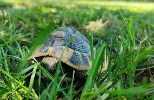 Casa Lilly - Foto 71