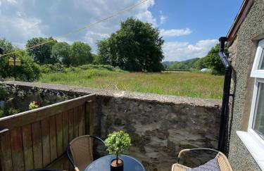 Golygfa'r Orsaf Snowdonia national park, Bala lake - Foto 24