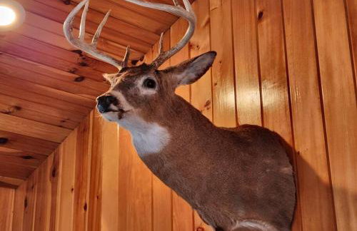 Spacious 5 Bedroom Cabin with Riverview & Black Lake Access - Foto 54