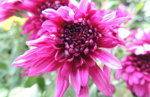 Milchtütenzimmer - Upcycling - Foto 15