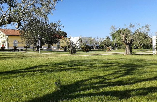 Tenuta Antico Leccio - Foto 14