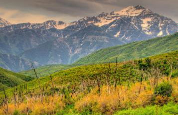 Raintree's The Miners Club Park City - Photo 64