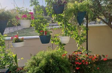 Holiday House Gloria Srima - Foto 45