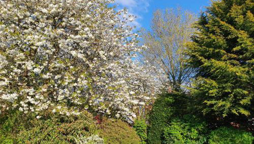 Historic farm house - Foto 3