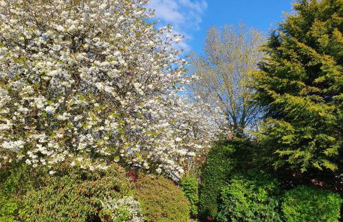 Historic farm house - Foto 3