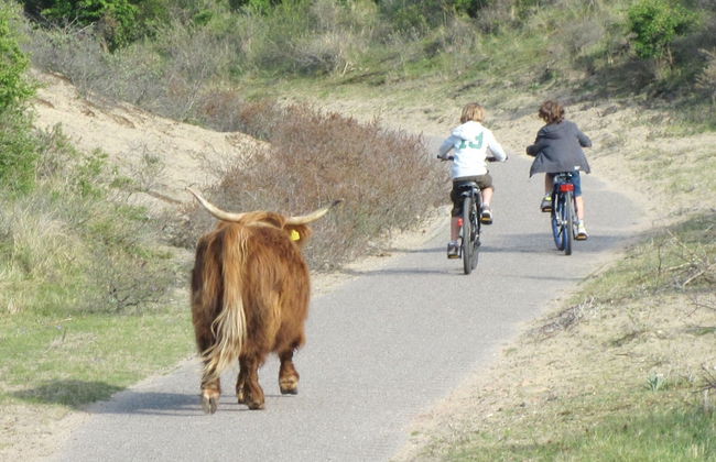 Modern Lodge With Dishwasher, Near the Sea - Foto 27