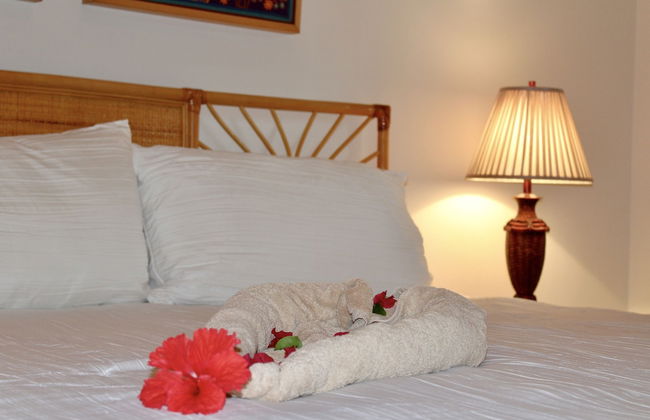 Tara Del Sol - Photo 15