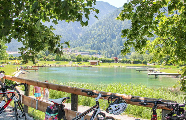 Apart Schachinger - Foto 29