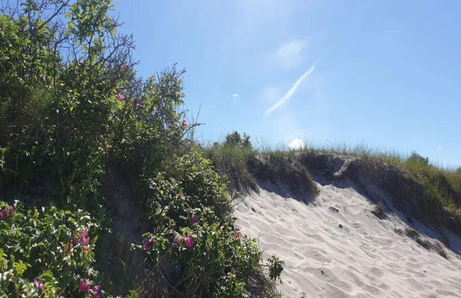 Seaside Retreat in Dronningmolle-by Traum - Foto 12