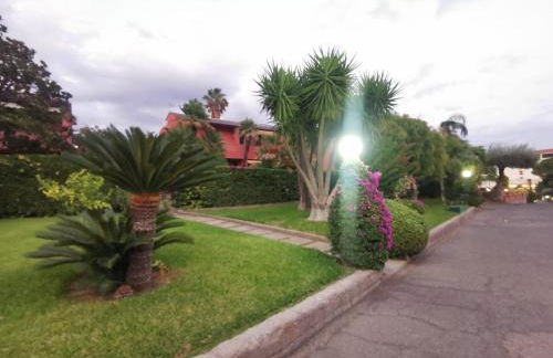 Orchidea Bianca - Foto 47