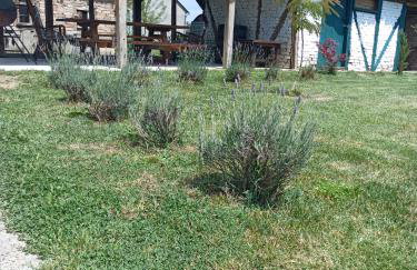 Kuća za odmor BIĐ - Foto 11