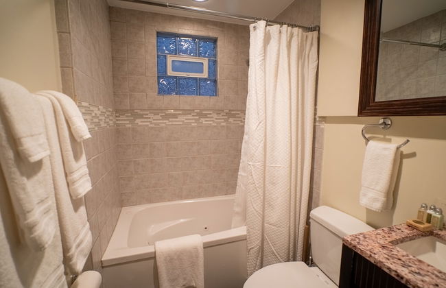 Lincoln Park Suites Operated by Roscoe Village Guesthouse - Foto 6