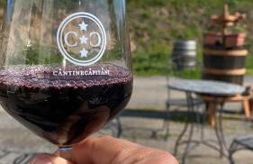 Alele Alloggio turistico - Foto 17