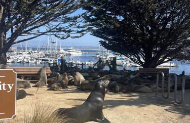 Romantic Carmel Cottage Ocean Country Views - Photo 22