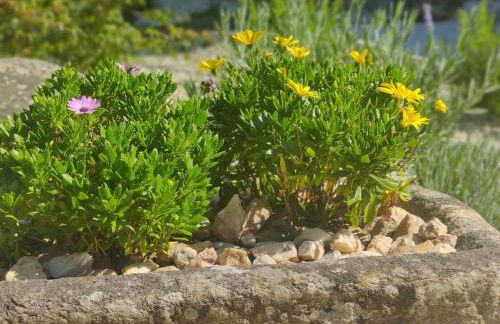 Casa da Ramona - Foto 31