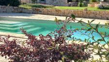 Il nido delle rondini - Foto 3, Garden view