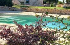 Il nido delle rondini - Foto 3