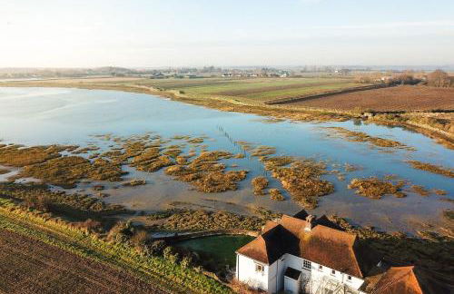 Snow Goose - Foto 36