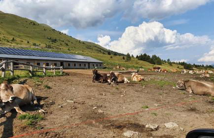 Marmot Apartment - Photo 39