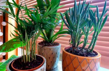 Geographer`s Cottage II - Foto 29