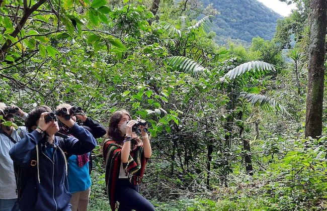 Casa Buen Aventura, Panajachel, Solola, Guatemala - Casa de Campo Familiar - Foto 20