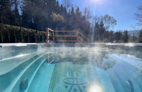 Żabie Dworki Witów Luxury Chalets & SPA - Foto 13