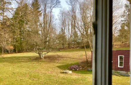 Zen in Narrowsburg Retreat near Town - Foto 62