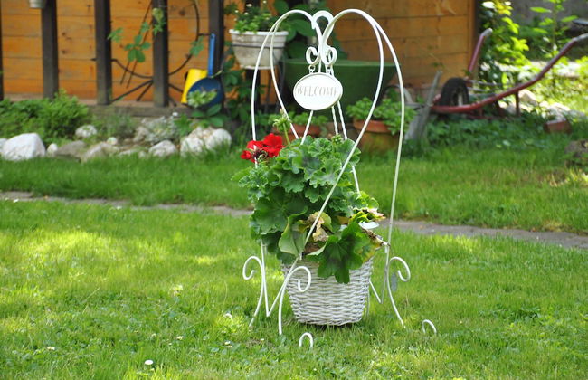 Sunčani Apartments - Foto 29