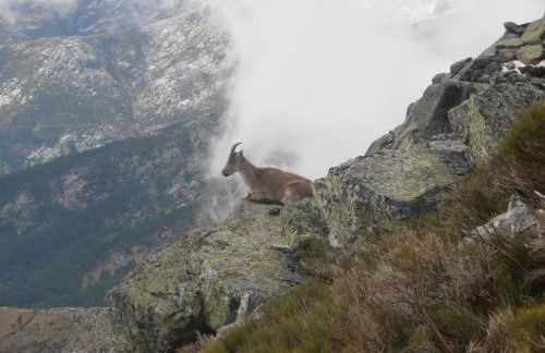 Casa El Herragu - Photo 21