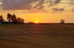 Haus Seestern - Foto 22