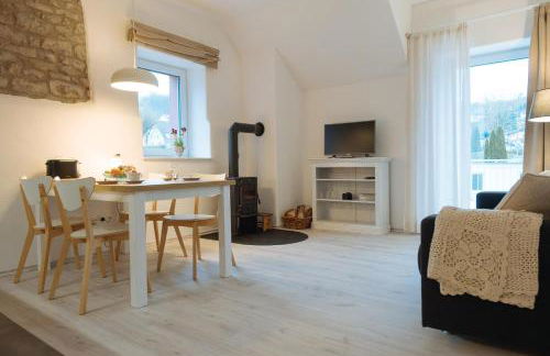 Ferienwohnungen Maijeschhof - Foto 50