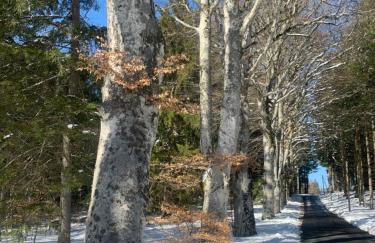 "Les Oiseaux" avec terrasse, parking, duplex - Foto 25