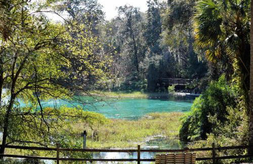 Escape to Secluded Spa, Heated Pool, Game Room, Firepit Near Crystal and Rainbow Rivers - Foto 60