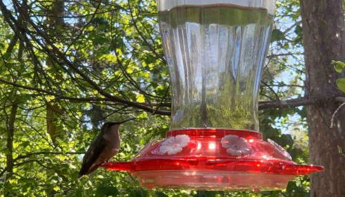 Cabin Retreat with Sauna Trails and Lake Access - Foto 3