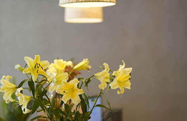 Hotel Airhomes - Foto 10