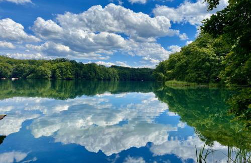 Zielone Okiennice Łagów - Foto 49