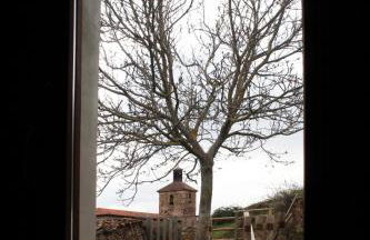 El Nogal De Laguna - Foto 37