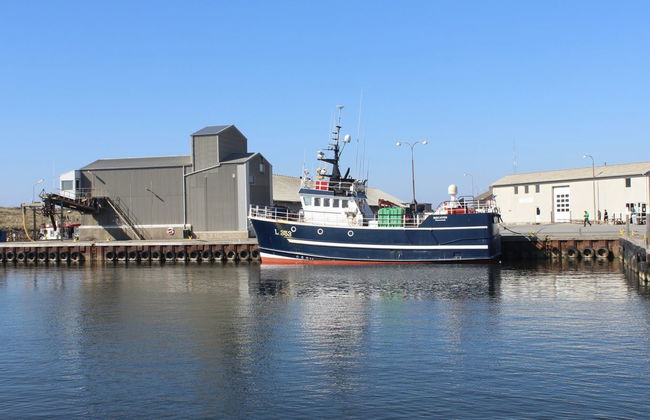 "Raisa" - 200m to the fjord - Foto 23