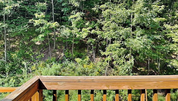 Villages of Wisp 14 Winding Way by Taylor Made Deep Creek - Foto 3, Servicios del alojamiento