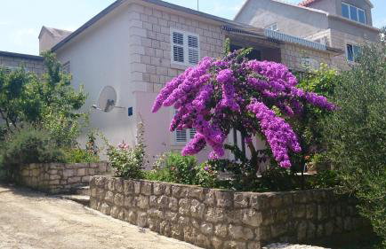 Apartments Laura - Foto 1