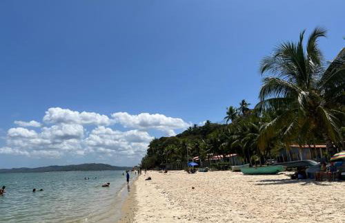 Abelha & Peixe Boi - Photo 15